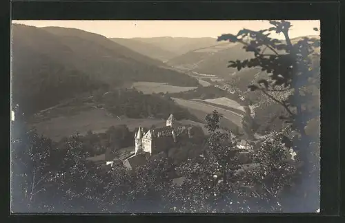 Foto-AK Mayen, Schloss Büresheim vom Berg gesehen