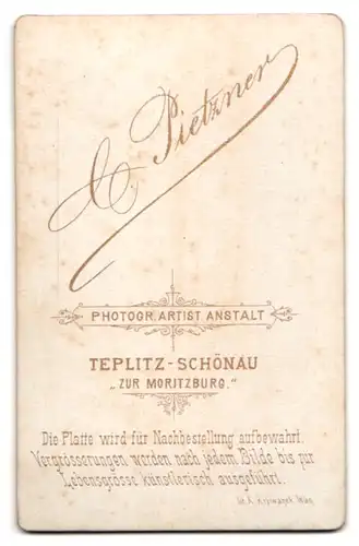 Fotografie C. Pietzner, Teplitz-Schönau, Portrait stattlicher junger Mann mit Bart im Jackett