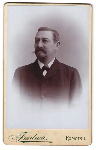 Fotografie F. Friedrich, Komotau, Parkstrasse, Portrait charmant lächelnder Herr mit Schnurrbart