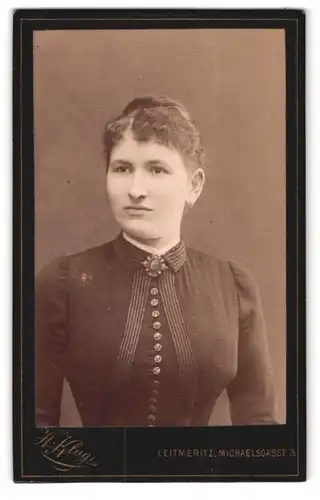 Fotografie H. Klug, Leitmeritz, Michaelstr. 3, Portrait bildschöne junge Frau mit Brosche am Blusenkragen