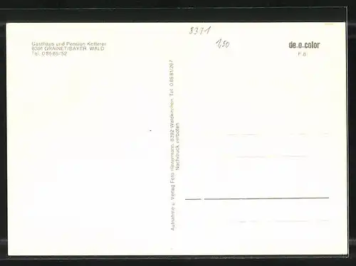 AK Grainet /Bayer. Wald, Gasthaus und Pension Ketterer