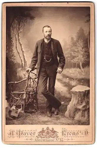 Fotografie A. Mayer, Krems a.d.D., Alleestr. 18, Herr mit Vollbart und Taschenuhrkette im Anzug vor Landschaftskulisse