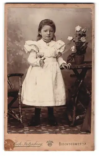 Fotografie Rich. Fritzsching, Bischofswerda i. S., Albertstrasse 17, junges Mädchen mit Blume in der Hand