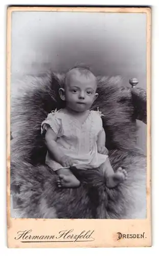 Fotografie Hermann Herzfeld, Dresden, Altmarkt, Portrait kleines Kind im weissen Leibchen mit Segelohren auf einem Fell