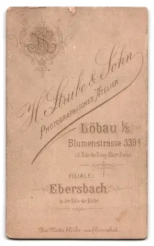 Fotografie H. Strube & Sohn, Löbau i. S., Blumenstr. 339, Portrait Kleinkind im Kleid sitzt auf einem Sessel