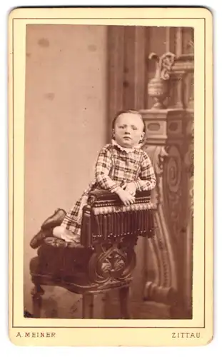 Fotografie Adolph Meiner, Zittau, Portrait kleines Mädchen im karierten Kleid mit Spitzenkragen