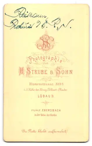 Fotografie H. Strube & Sohn, Löbau i. S., Blumenstrasse 339s, älterer Herr mit Vollbart