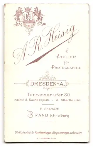 Fotografie A. R. Heisig, Dresden-A., Terrassenufer 30, junge Dame mit hochgestecktem Haar