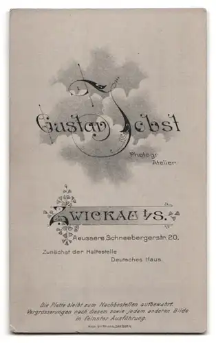 Fotografie Gustav Jobst, Zwickau i. S., Aeussere Schneebergstrasse 20, junge mit Stock und Hut