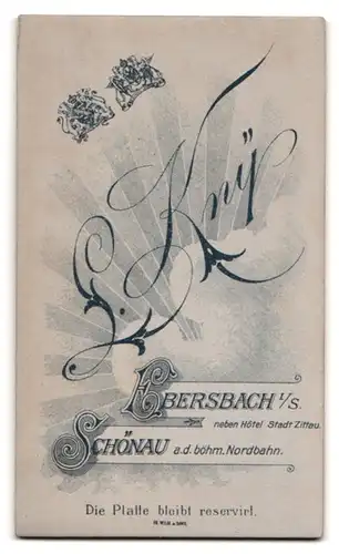 Fotografie L. Kny, Ebersbach i. S., Portrait Bruder und Schwester im Matrosenanzug und Kleid mit Spitze