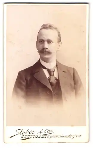 Fotografie Stober & Co., Stuttgart, Gymnasiumstr. 6, Portrait Herr im Anzug mit Schlips und Walrossbart