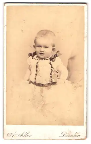 Fotografie A. Adler, Dresden, Victoriastr. 21, Portrait kleines Mädchen im Rüschenkleidchen mit Schleifen