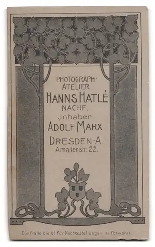 Fotografie Hanns Hatle Nachf., Dresden, Amalienstr. 22, Portrait Dame im dunklen Kleid mit Spitzenbesatz
