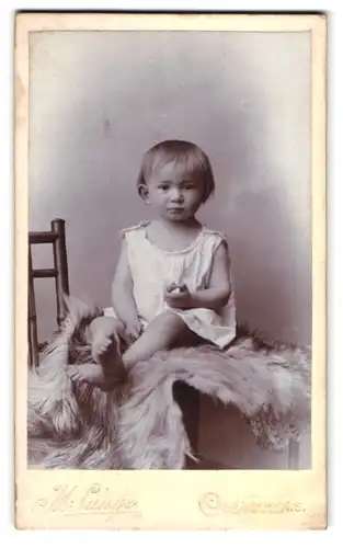 Fotografie M. Lange, Colditz i. S., Fürstenweg, Portrait kleines Mädchen im weissen Hemd
