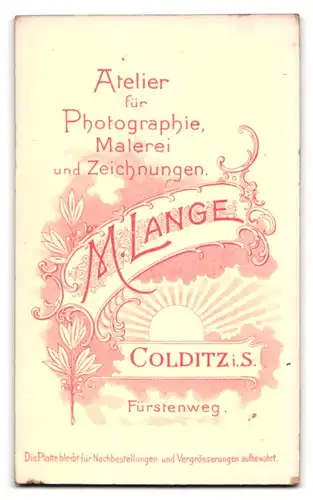 Fotografie M. Lange, Colditz i. S., Fürstenweg, Portrait kleines Mädchen im weissen Hemd