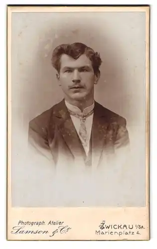 Fotografie Samson & Co., Zwickau i /Sa., Marienplatz 4, Portrait junger Herr im Anzug mit Krawatte