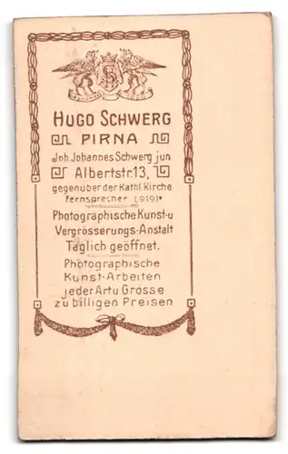 Fotografie Hugo Schwerg, Pirna, Albertstrasse 13, Portrait junge Dame im modischen Kleid