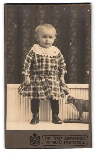 Fotografie Otto Hertel, Freiberg i /S., Erbischestrasse 11, Portrait kleines Mädchen im karierten Kleid mit Spieltier