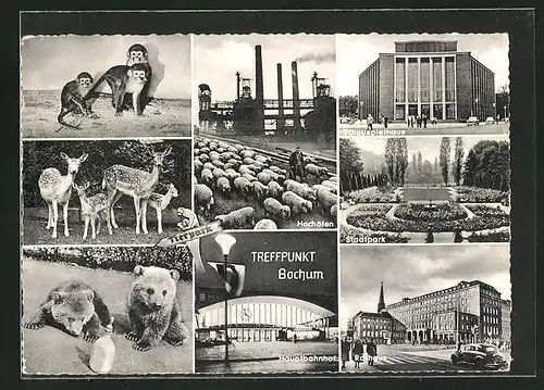 AK Bochum, Tierpark, Hauptbahnhof, Hochöfen und Schäfer mit Herde, Schauspielhaus
