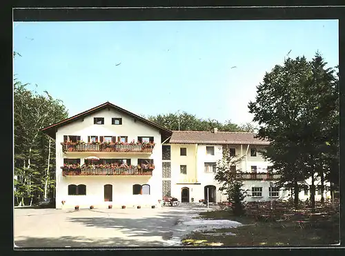 AK Baierbrunn /Isartal, Waldgasthof Buchenhain