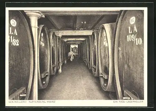 AK Mainz, Gasthaus Sektkellerei Kupferberg, Ein Fass-Lagerkeller