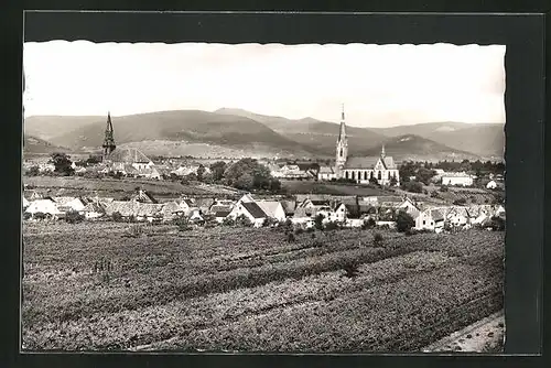 AK Edenkoben, Die weinfrohe Stadt