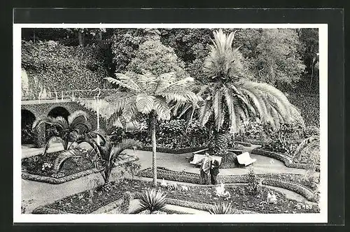 AK Madeira, Belmonte Hotel Garden