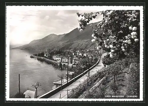 AK Cannero, Lago Maggiore mit Ortsansicht