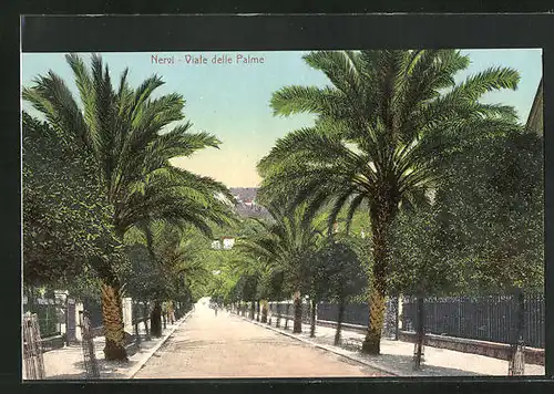 AK Nervi, Viale della Palme