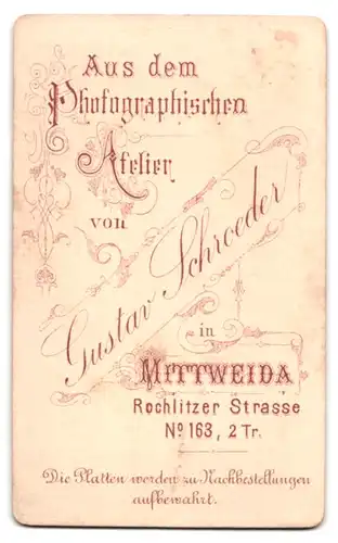 Fotografie Gustav Schroeder, Mittweida, Rochlitzer Str. 163, Portrait Dame im Kleid mit Halskette
