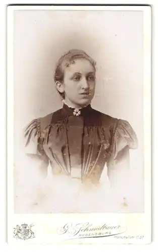 Fotografie G. Schmidbauer, Regensburg, Marschallstrasse C 51, Portrait junge Dame im modischen Kleid