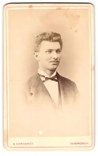 Fotografie A. Ehrhardt, Schönebeck, Salzerstrasse 24, Portrait junger Herr im Anzug mit Fliege