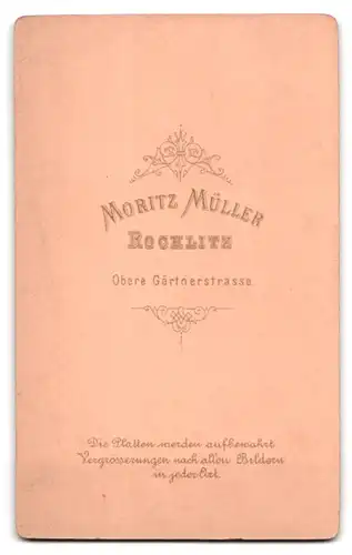 Fotografie Moritz Müller, Rochlitz, Obere Gärtnerstr., Portrait Dame im verzierten Kleid mit Puffärmeln