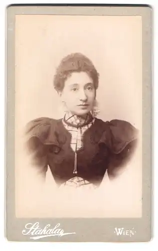 Fotografie Stahala, Wien, Langegasse 46, Portrait Dame im Puffärmel Kleid mit Locken