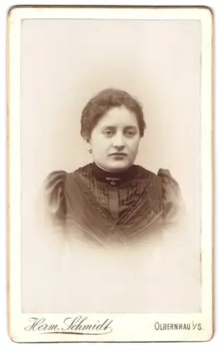 Fotografie Herm. Schmidt, Olbernhau i. S., Freibergerstr. 177, Portrait Dame im Biedermeierkleid mit Locken