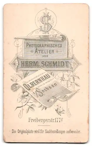 Fotografie Herm. Schmidt, Olbernhau i. S., Freibergerstr. 177, Portrait Dame im Biedermeierkleid mit Locken