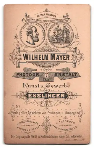 Fotografie Wilhelm Mayer, Esslingen, Portrait dickes Kleinkind im karierten Kleid mit Spitzenkragen