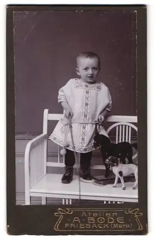 Fotografie A. Bode, Friesack / Mark, Portrait kleines Kind im Kleid mit Spielzeug Pferd und Hund