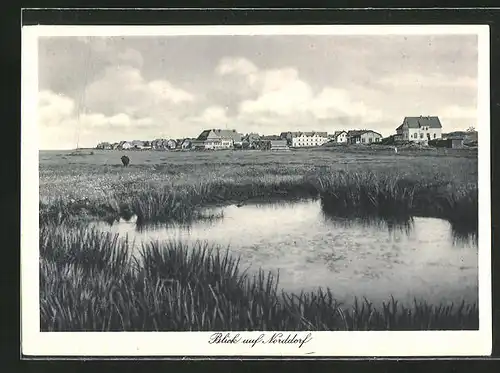 AK Norddorf /Amrum, Teich gegen Zentrum