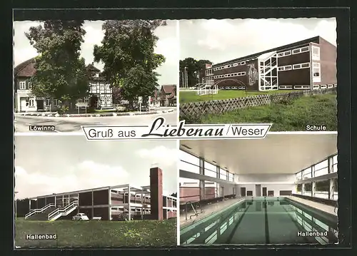 AK Liebenau /Weser, Löwinne, Hallenbad, Schule
