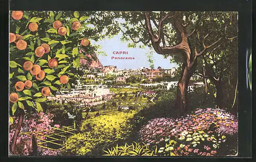 AK Capri, Panorama mit Orangenbaum