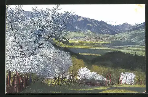 Künstler-AK Photochromie Nr. 2716: Obstblüte in Tirol