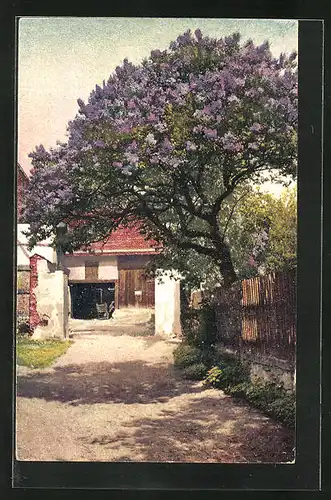 Künstler-AK Photochromie Nr. 4535: Blühender Baum vor Hofeingang