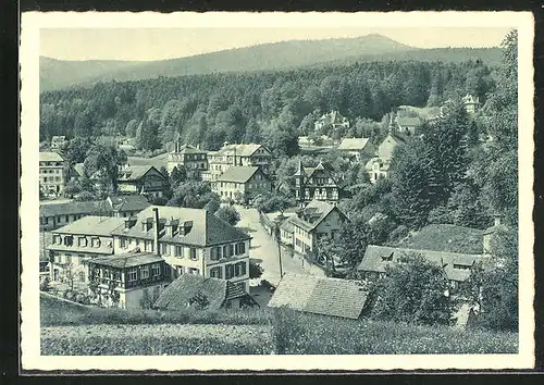 AK Hohwald, Blick über den Ort