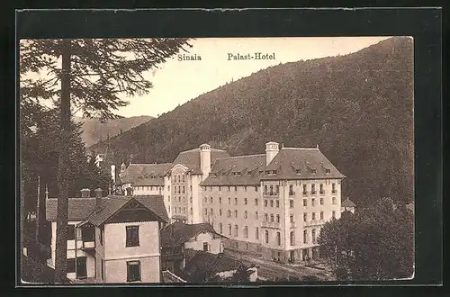 AK Sinaia, Palast-Hotel