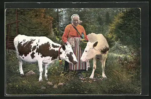 AK Leksand, schwedische Bäuerin in Tracht mit Kühen