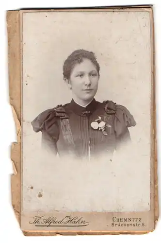 Fotografie Th. Alfred Hahn, Chemnitz, Brückenstr. 5, Portrait Dame im Biedermeierkleid mit Ansteckblumen