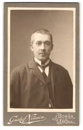 Fotografie Gustaf Nilsson, Boras, Portrait Herr im Nadelstreifenanzug mit Krawatte