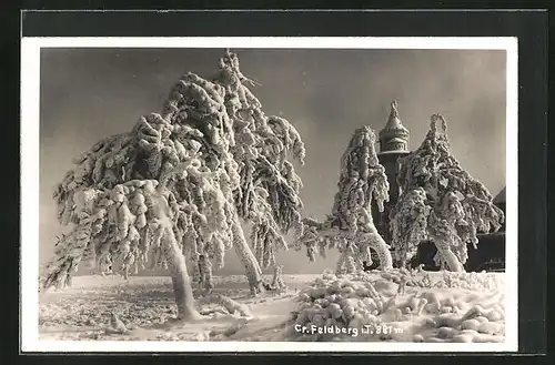 AK Feldberg, Winterlandschaft mit vereisten Bäumen