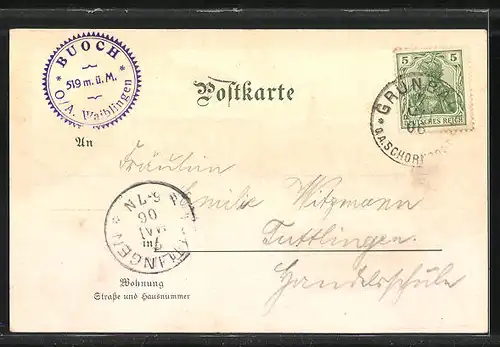 Lithographie Buoch, Gasthof-Pension Zur Krone, Totalansicht